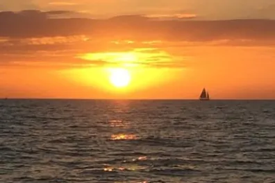 a bird flying over the ocean at sunset with Sunset Beach in the background