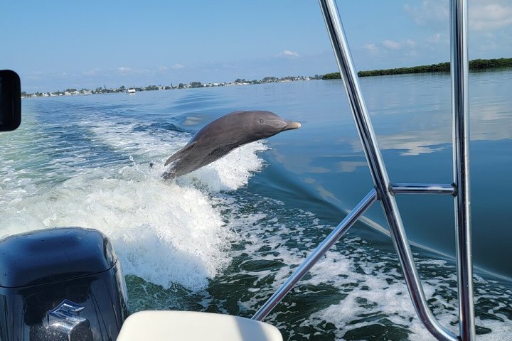a close up of a boat next to a body of water