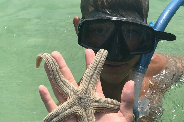a person swimming in a body of water