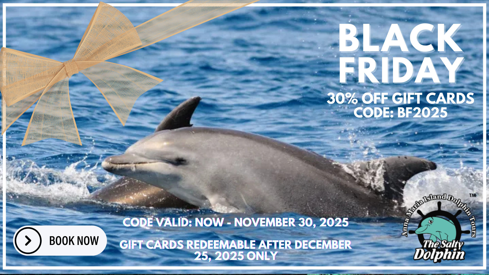Dolphins in water with a Black Friday 30% off gift cards offer. Includes booking button and valid dates.